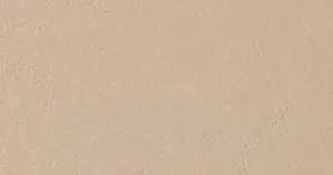 BEIGE NATUREL R10