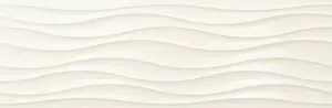 NACAR NEWKER