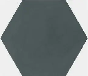 HEXA INDIGO