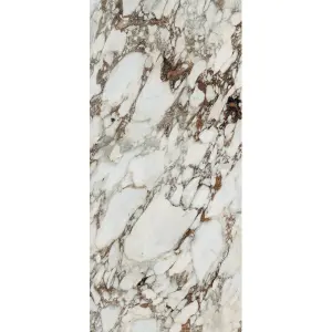 BRECHE CAPRAIA GLOSSY