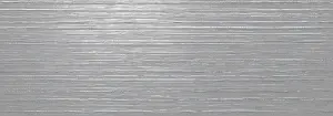 DEC.ARTIC BARENTS SILVER