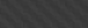 SECTOR NEGRO