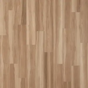 ELM NAT/RET