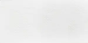 BLUR WHITE (PB)