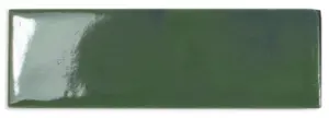 OLIVE GLOSS
