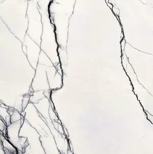B&W MARBLE FLORIM