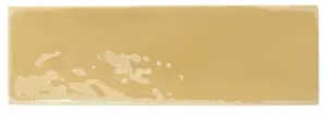 MUSTARD GLOSS