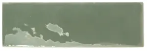 MOSS GLOSS