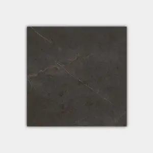GREY ANT. L