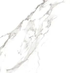 STATUARIO GRIGIO LUCIDATO/RET