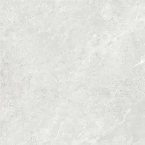 GREY NAT/RET