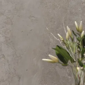 GREY RET