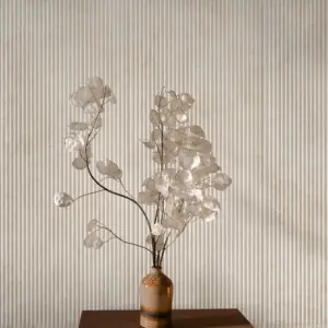 TRAVERTINO WALL RAGNO